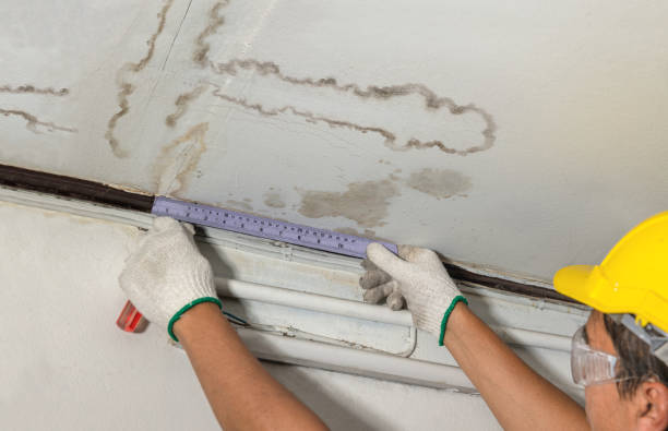 Reliable Water Damage contractor in Woodville, VA by Water Damage Irwin